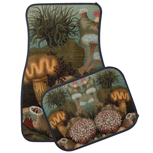 19th century print sea anemones car mat (Set)