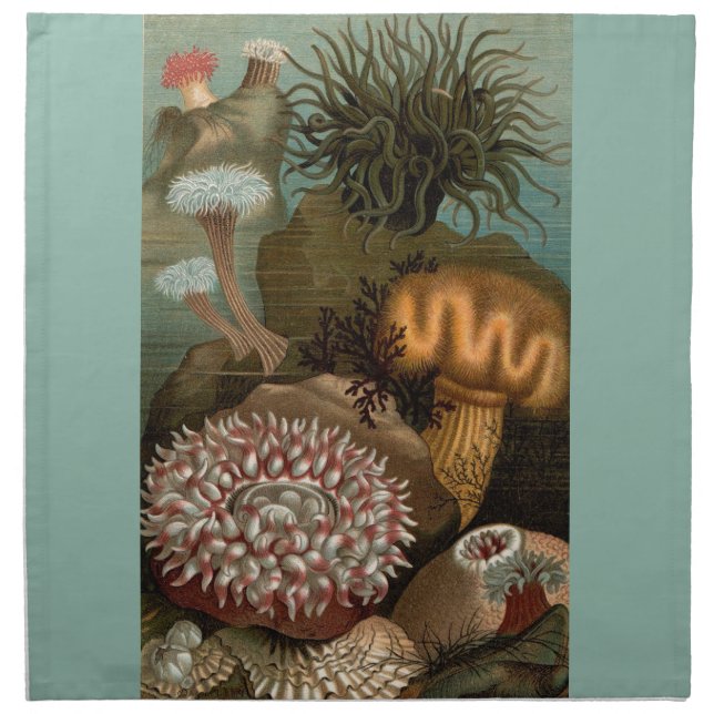 19th century print sea anemones cloth napkin (Front)