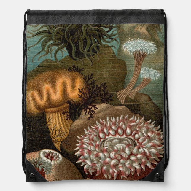19th century print sea anemones drawstring bag (Front)