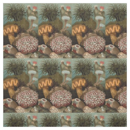 19th century print sea anemones fabric