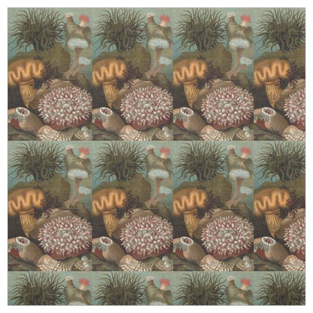 19th century print sea anemones fabric (Swatch)