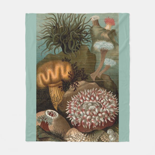 19th century print sea anemones fleece blanket (Front)