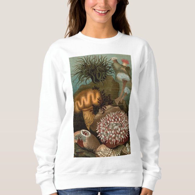 19th century print sea anemones sweatshirt (Front)