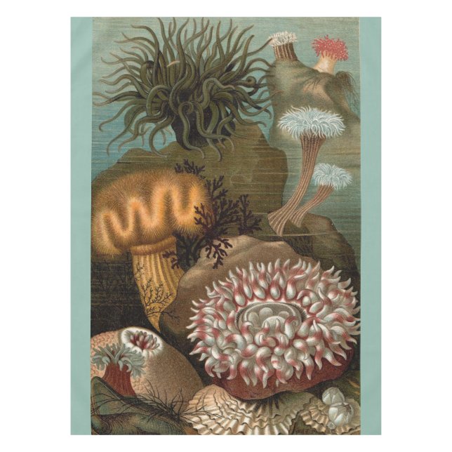 19th century print sea anemones tablecloth (Front)