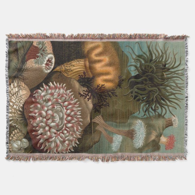 19th century print sea anemones throw blanket (Front)