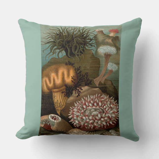 19th century print sea anemones throw pillow (Front)