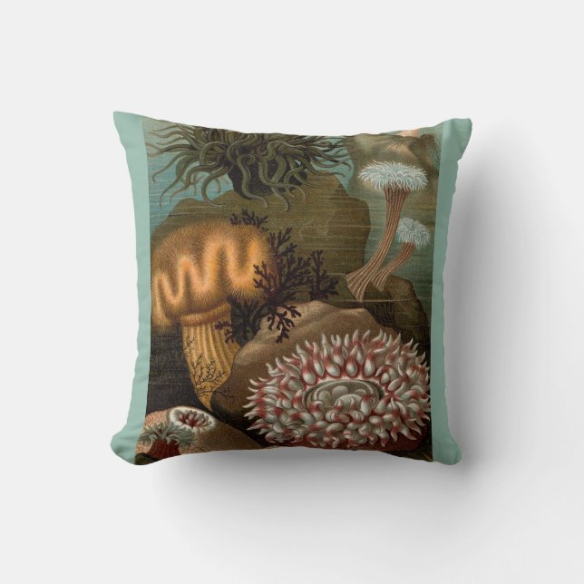 19th century print sea anemones throw pillow (Front)