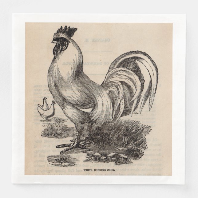 19th century print white Dorking rooster Paper Dinner Napkins (Front)
