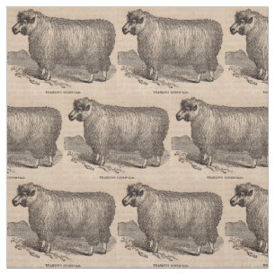 19th century print yearling Cotswold sheep Fabric