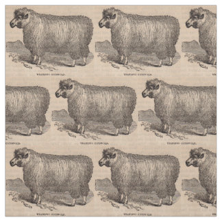 19th century print yearling Cotswold sheep Fabric