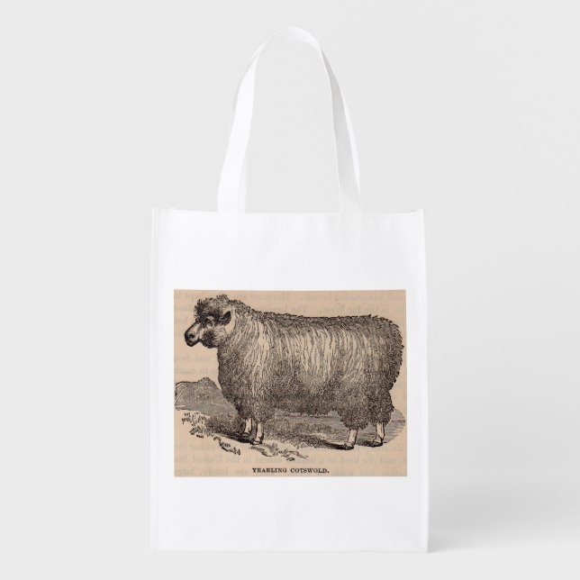 19th century print yearling Cotswold sheep Grocery Bag (Front)