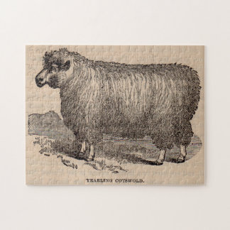 19th century print yearling Cotswold sheep Jigsaw Puzzle