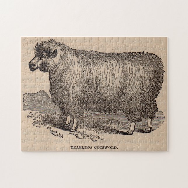19th century print yearling Cotswold sheep Jigsaw Puzzle (Horizontal)