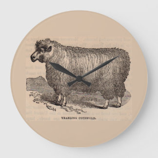 19th century print yearling Cotswold sheep Large Clock