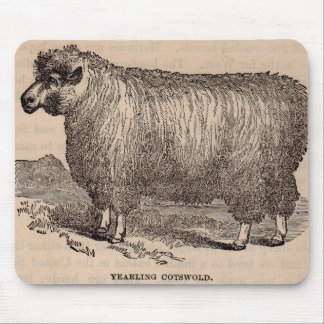 19th century print yearling Cotswold sheep Mouse Pad