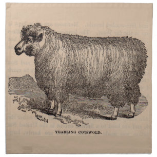 19th century print yearling Cotswold sheep Napkin