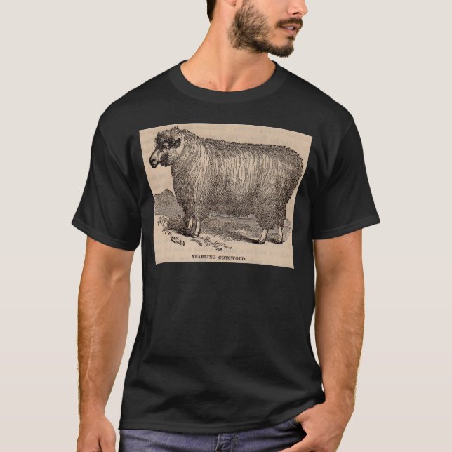 19th century print yearling Cotswold sheep T-Shirt (Front)