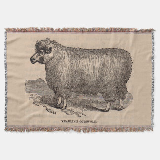 19th century print yearling Cotswold sheep Throw Blanket
