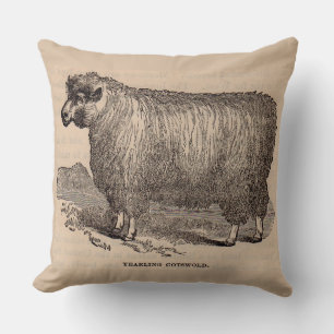 19th century print yearling Cotswold sheep Throw Pillow