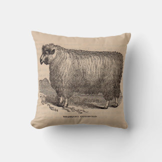 19th century print yearling Cotswold sheep Throw Pillow