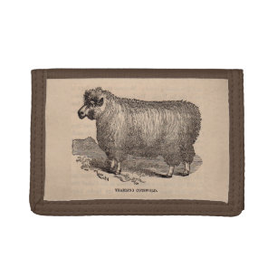 19th century print yearling Cotswold sheep Tri-fold Wallet