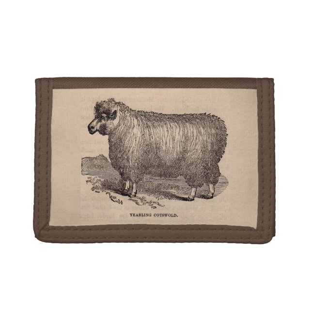19th century print yearling Cotswold sheep Tri-fold Wallet (Front)
