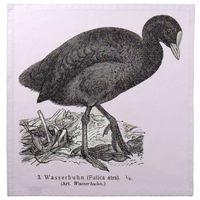 19th century wasserhuhn or moorhen print cloth napkin (Front)