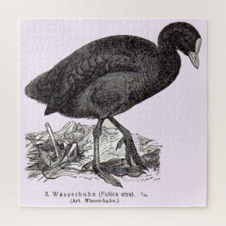 19th century wasserhuhn or moorhen print jigsaw puzzle
