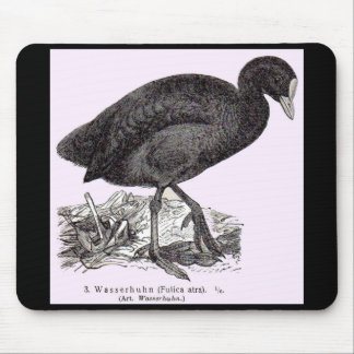 19th century wasserhuhn or moorhen print mouse pad