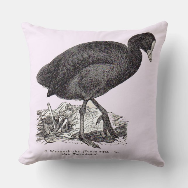 19th century wasserhuhn or moorhen print throw pillow (Front)