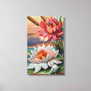 19th-century Water Lilies Illustration Canvas Print by judgeart at Zazzle