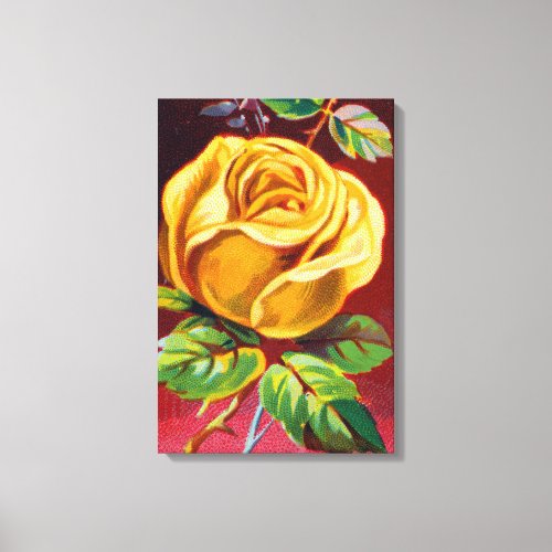 19th_Century Yellow Pearl Rose Illustration Canvas Print