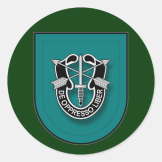 19th SFG(A) - current Classic Round Sticker