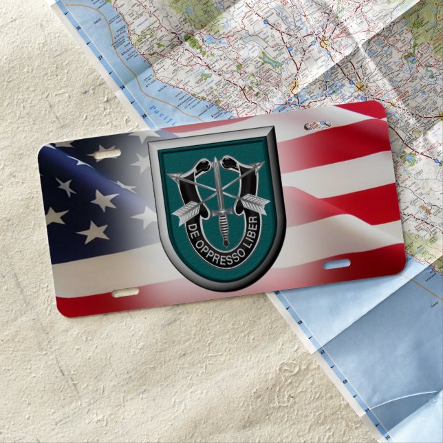 19th Special Forces Group (Airborne) Flash License Plate (In Situ)