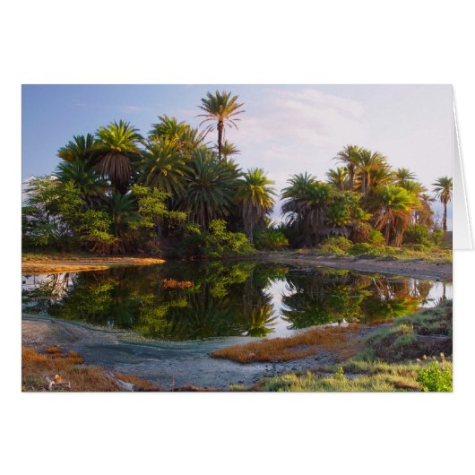 1,000,000 Years B.C. Cards (Front Horizontal)