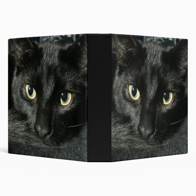 1 1/2 " binder with sleepy black cat (Background)