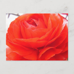 1 4 You Postcard