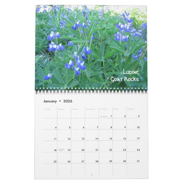 1, Alpine Wildflowers Goat Rocks, Mt Hood and M... Calendar (Jan 2026)