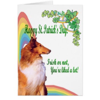 1. Awesome Collie Irish Or Not You’re Liked A Lot! by 4westies at Zazzle