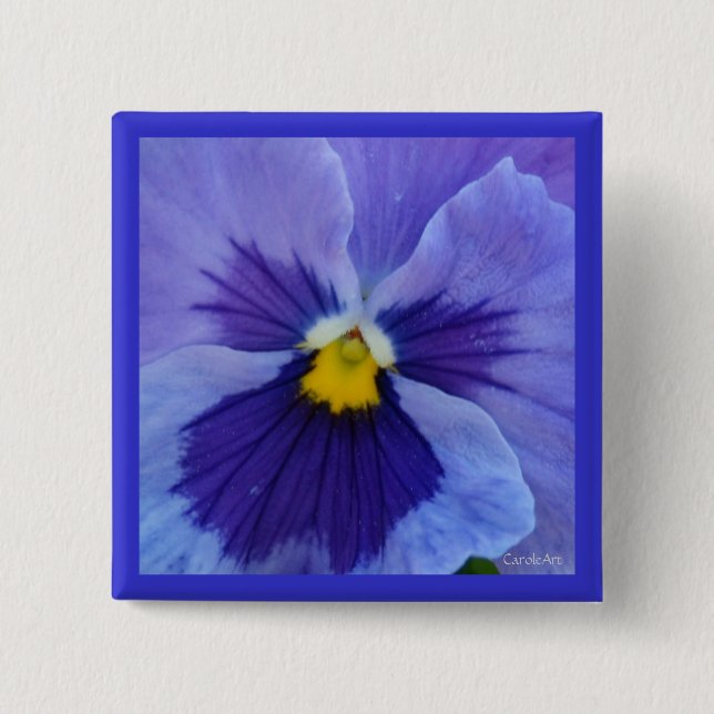 1 Blue Beauty Pansy Button (Front)