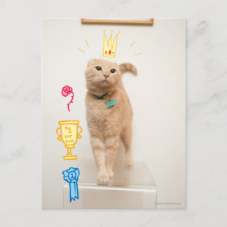 #1 Cat Postcard