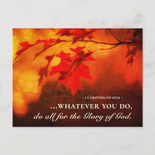 1 Corinthians 1031 Do All for the Glory of God Postcard