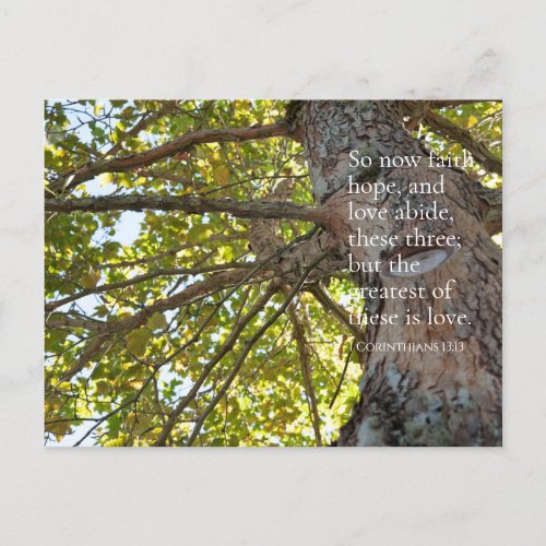 1 Corinthians 1313 Tree Branches Postcard