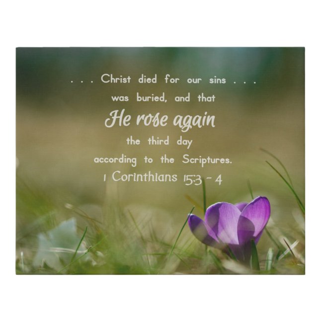 1 Corinthians 15:3 - 4  Crocus Canvas (Front)
