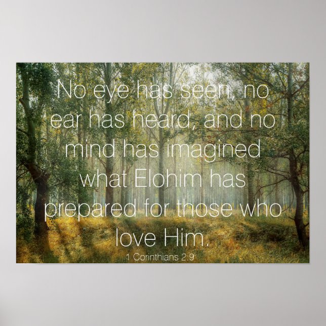 1 Corinthians 2:9 Bible Verse Forest Scene Photo Poster (Front)