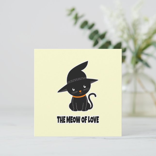 1.cute beautiful black cat meow of love   (Standing Front)