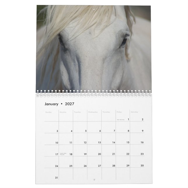#1 Draft Horses Calendar (Jan 2027)