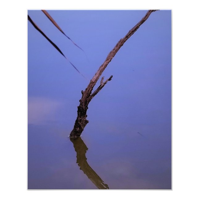 #1-Etang from Scamandre to Camargue. Photo Print (Front)