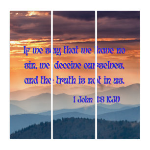 1 John 1:8 KJV Bible Verse Pic Wall Art