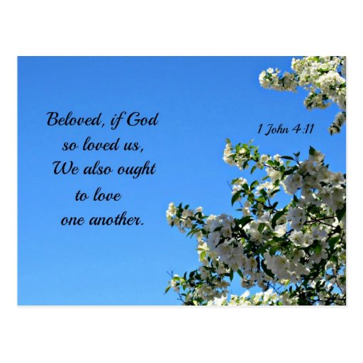 1 John 4:11 Beloved, if God so loved us... Postcard | Zazzle